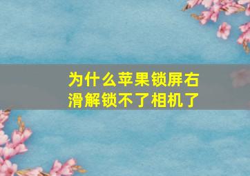 为什么苹果锁屏右滑解锁不了相机了