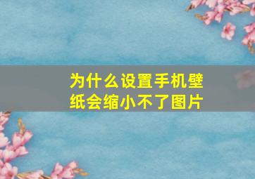 为什么设置手机壁纸会缩小不了图片