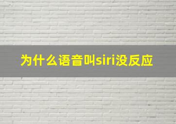 为什么语音叫siri没反应