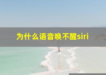 为什么语音唤不醒siri