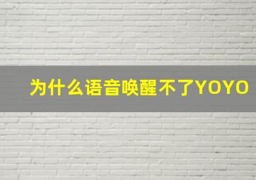 为什么语音唤醒不了YOYO