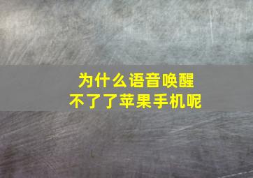 为什么语音唤醒不了了苹果手机呢