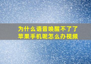 为什么语音唤醒不了了苹果手机呢怎么办视频