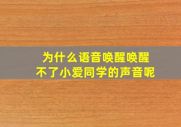 为什么语音唤醒唤醒不了小爱同学的声音呢