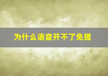 为什么语音开不了免提