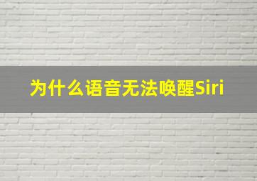 为什么语音无法唤醒Siri