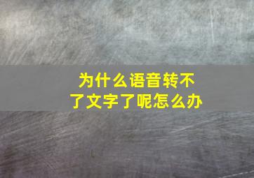 为什么语音转不了文字了呢怎么办