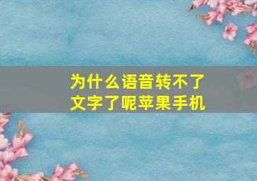 为什么语音转不了文字了呢苹果手机