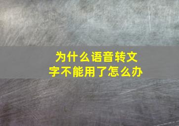 为什么语音转文字不能用了怎么办