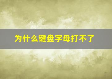 为什么键盘字母打不了