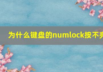 为什么键盘的numlock按不亮