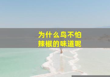 为什么鸟不怕辣椒的味道呢