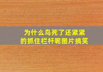 为什么鸟死了还紧紧的抓住栏杆呢图片搞笑