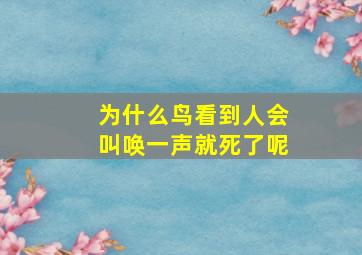 为什么鸟看到人会叫唤一声就死了呢