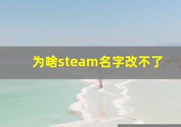 为啥steam名字改不了