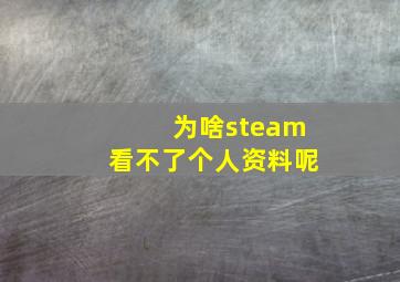 为啥steam看不了个人资料呢