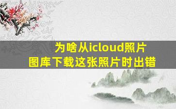 为啥从icloud照片图库下载这张照片时出错