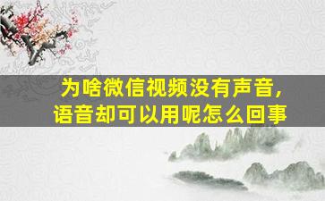 为啥微信视频没有声音,语音却可以用呢怎么回事