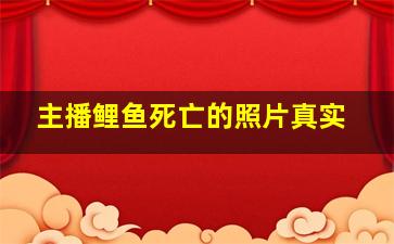 主播鲤鱼死亡的照片真实