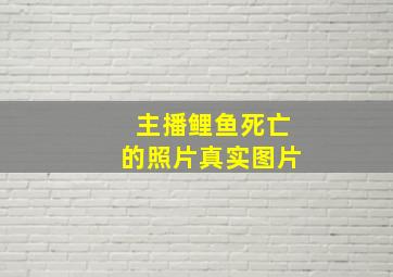 主播鲤鱼死亡的照片真实图片