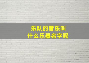 乐队的音乐叫什么乐器名字呢