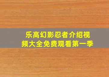 乐高幻影忍者介绍视频大全免费观看第一季