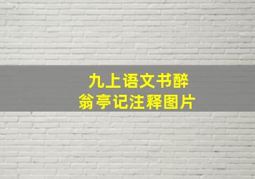 九上语文书醉翁亭记注释图片