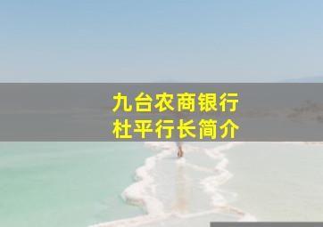 九台农商银行杜平行长简介