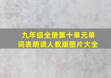 九年级全册第十单元单词表朗读人教版图片大全