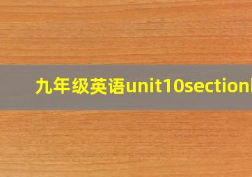 九年级英语unit10sectionb