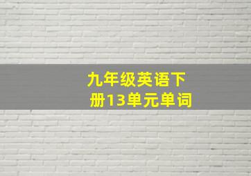 九年级英语下册13单元单词