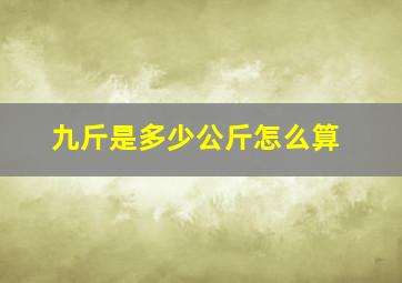 九斤是多少公斤怎么算