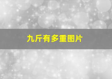 九斤有多重图片