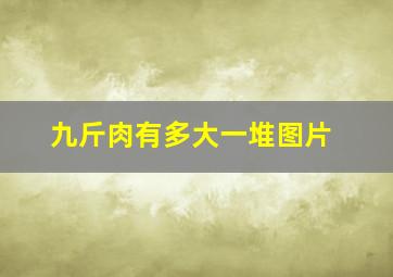 九斤肉有多大一堆图片