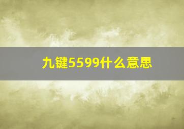 九键5599什么意思