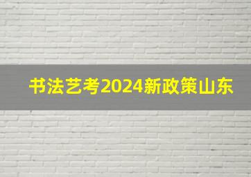 书法艺考2024新政策山东