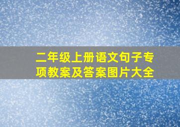 二年级上册语文句子专项教案及答案图片大全