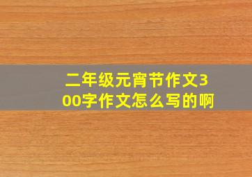 二年级元宵节作文300字作文怎么写的啊