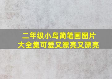 二年级小鸟简笔画图片大全集可爱又漂亮又漂亮