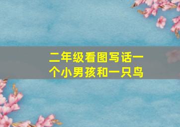 二年级看图写话一个小男孩和一只鸟