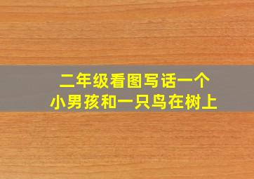 二年级看图写话一个小男孩和一只鸟在树上