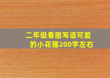 二年级看图写话可爱的小花猫200字左右