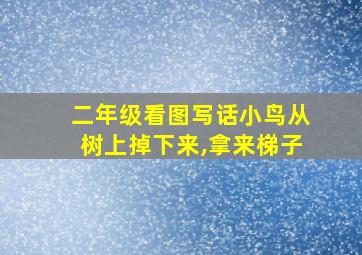 二年级看图写话小鸟从树上掉下来,拿来梯子