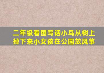 二年级看图写话小鸟从树上掉下来小女孩在公园放风筝