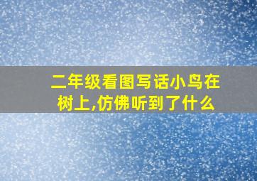 二年级看图写话小鸟在树上,仿佛听到了什么