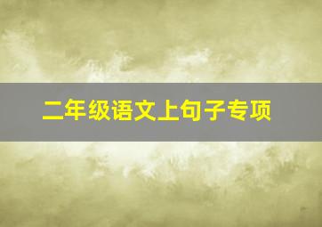 二年级语文上句子专项