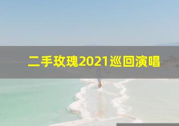 二手玫瑰2021巡回演唱