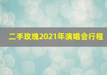 二手玫瑰2021年演唱会行程