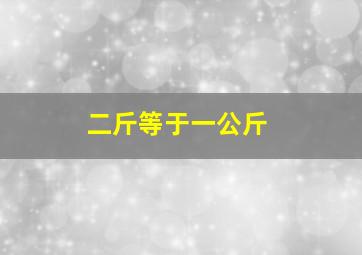 二斤等于一公斤