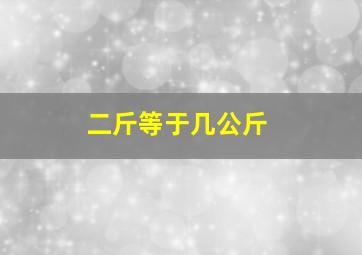 二斤等于几公斤